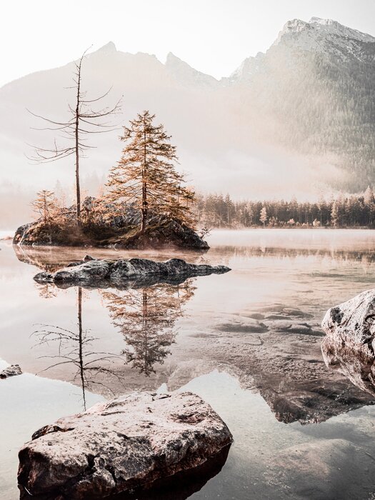 Sunny morning in the mountains with mist picturesque landscape