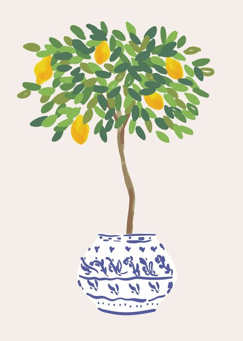 Citrus tree illustration