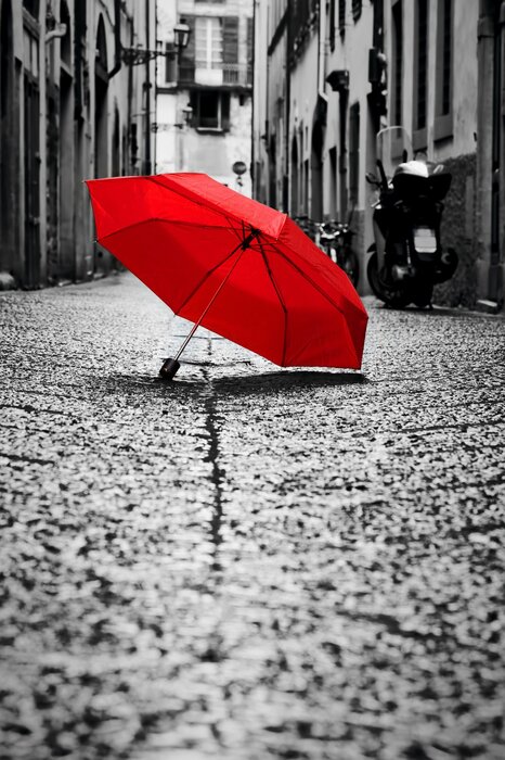 Red umbrella on black-and-white photograph