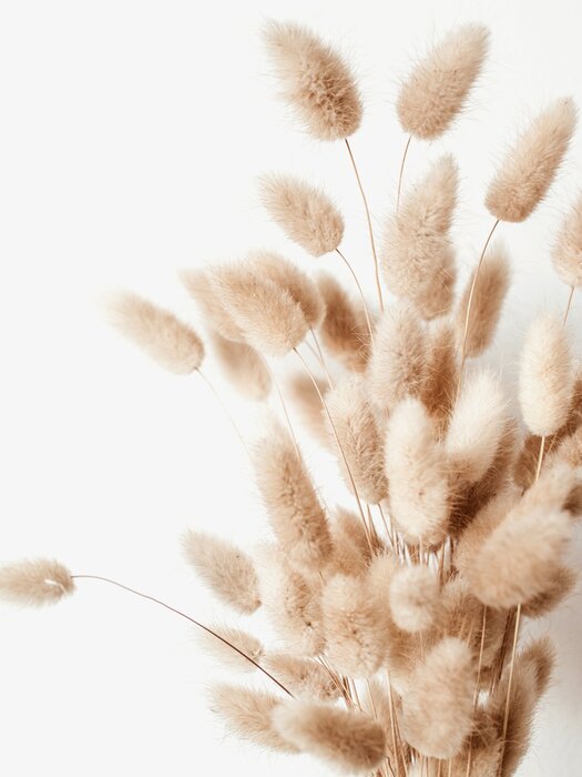 Boho style grass bunny tail