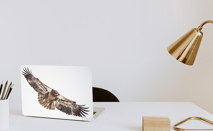 Sticker 3D Effekt Tiere fliegender Adler nach Maß 