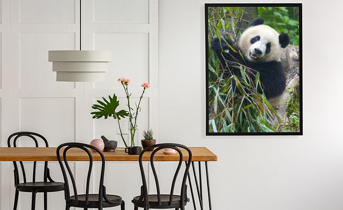 Poster Panda und nach Maß Bambus