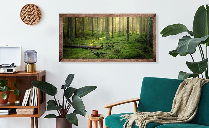 MuchoWow Poster Marder - Baum - Wald, (1 St), Gerahmtes Poster, Wanddeko,  Bilder, Wandposter, Schwarzem Bilderrahmen