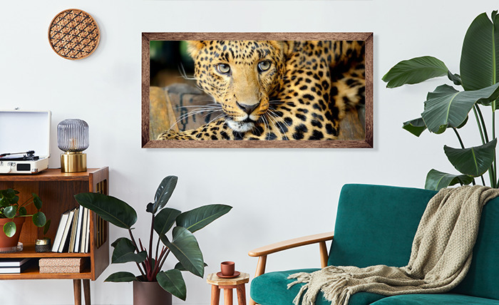 Poster Tier ein lauernder Leopard nach Maß