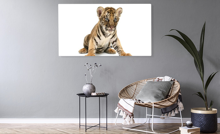 Tableau Bebe Tigre Sur Fond Blanc Sur Mesure Redro Fr